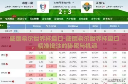 威廉希尔世界杯盘口-威廉希尔世界杯盘口，精准投注的秘密与机遇