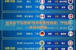 世界杯下注在哪-世界杯理性观赛，下注的选择与考量