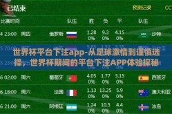 世界杯平台下注app-从足球激情到谨慎选择，世界杯期间的平台下注APP体验探秘