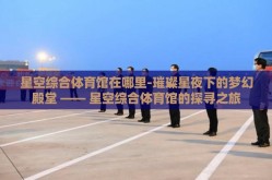 星空综合体育馆在哪里-璀璨星夜下的梦幻殿堂 —— 星空综合体育馆的探寻之旅