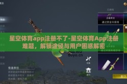 星空体育app注册不了-星空体育App注册难题，解锁途径与用户困惑解密