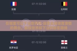 世界杯竞彩买哪一轮-世界杯竞彩投注的策略与选择