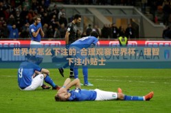 世界杯怎么下注的-合理观赛世界杯，理智下注小贴士