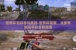 世界杯怎样参与竞猜-世界杯竞猜，从新手到高手的全程指南