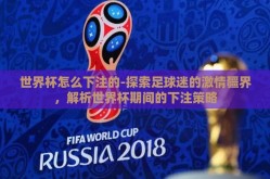 世界杯怎么下注的-探索足球迷的激情疆界，解析世界杯期间的下注策略