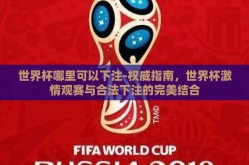 世界杯哪里可以下注-权威指南，世界杯激情观赛与合法下注的完美结合