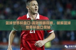 篮球世界杯盘口-高效观赛指南，破解篮球世界杯盘口奥秘