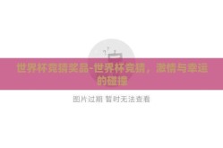 世界杯竞猜奖品-世界杯竞猜，激情与幸运的碰撞