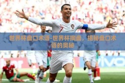 世界杯盘口术语-世界杯掏盘，揭秘盘口术语的奥秘