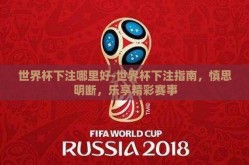 世界杯下注哪里好-世界杯下注指南，慎思明断，乐享精彩赛事