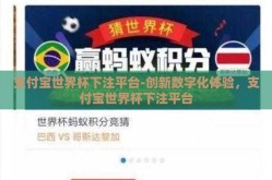 支付宝世界杯下注平台-创新数字化体验，支付宝世界杯下注平台