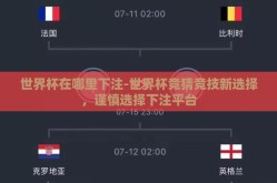 世界杯在哪里下注-世界杯竞猜竞技新选择，谨慎选择下注平台