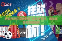 足球世界杯竞猜网站-足球世界杯，激战正酣的竞猜盛宴