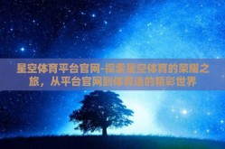 星空体育平台官网-探索星空体育的荣耀之旅，从平台官网到体育迷的精彩世界
