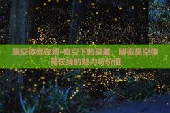 星空体育在线-夜空下的璀璨，解密星空体育在线的魅力与价值