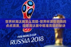 世界杯淘汰赛怎么竞猜-世界杯激情燃烧的点点滴滴，探索淘汰赛中精准竞猜的秘诀
