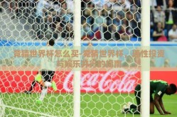 竞猜世界杯怎么买-竞猜世界杯，理性投资与娱乐并行的指南