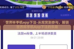 世界杯手机app下注-从观赏到参与，解锁世界杯手机App下注的乐趣
