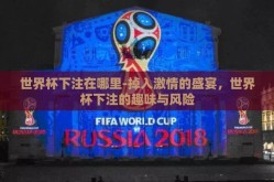 世界杯下注在哪里-掉入激情的盛宴，世界杯下注的趣味与风险