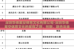深圳华体星空体育文化有限公司-深圳华体星空体育文化的星辉之路，创新、融合与未来展望
