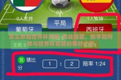 怎么参加世界杯竞猜-激战绿茵，新手如何参与世界杯竞猜的奇妙之旅