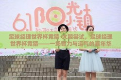 足球经理世界杯竞猜-大胆尝试，足球经理世界杯竞猜——一场智力与运气的嘉年华