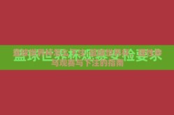 篮球世界杯怎么下注-篮球世界杯，理性参与观赛与下注的指南