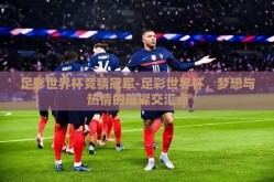 足彩世界杯竞猜冠军-足彩世界杯，梦想与热情的璀璨交汇点