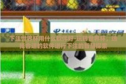 下注世界杯用什么软件好-玩转世界杯，选择合适的软件进行下注的智慧探索