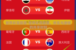 世界杯竞猜票-世界杯竞猜票，欢乐与激情的共享时刻