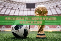 世界杯在哪买球下注-探索世界杯足球投注的合法与安全途径