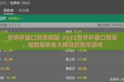 世界杯盘口赔率网站-2022世界杯盘口赔率，细致解析各大网站的数字游戏
