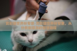 竞彩猫世界杯专家-竞彩猫世界杯专家，从分析到预测的智慧路程