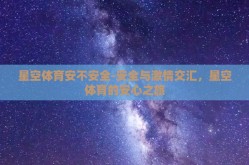 星空体育安不安全-安全与激情交汇，星空体育的安心之旅