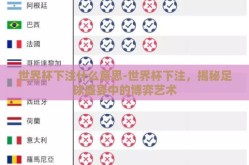 世界杯下注什么意思-世界杯下注，揭秘足球盛宴中的博弈艺术