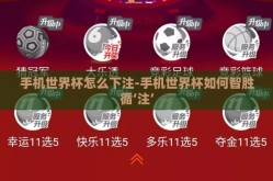 手机世界杯怎么下注-手机世界杯如何智胜循‘注’
