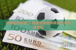 法国世界杯盘口-探秘法国世界杯盘口与球迷激情