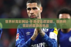 世界杯竞彩网址-不畏浮云遮望眼，世界杯竞彩的趣味与挑战