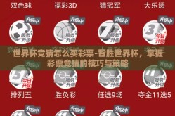 世界杯竞猜怎么买彩票-智胜世界杯，掌握彩票竞猜的技巧与策略