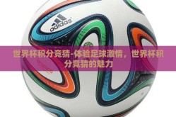 世界杯积分竞猜-体验足球激情，世界杯积分竞猜的魅力