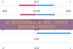 奥门搏彩世界杯盘口-澳门特区，世界杯竞猜的独特魅力与风险挑战