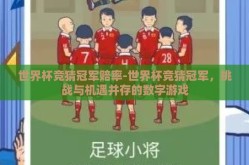 世界杯竞猜冠军赔率-世界杯竞猜冠军，挑战与机遇并存的数字游戏
