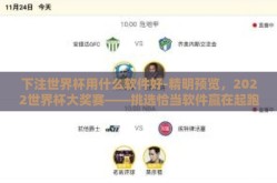 下注世界杯用什么软件好-精明预览，2022世界杯大奖赛——挑选恰当软件赢在起跑线