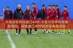 卡塔尔世界杯盘口APP-卡塔尔世界杯观赛新体验，探索盘口APP的数字赛事洞察