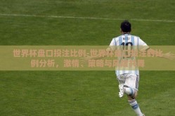 世界杯盘口投注比例-世界杯盘口投注的比例分析，激情、策略与风险共舞