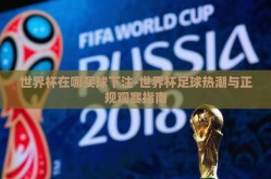 世界杯在哪买球下注-世界杯足球热潮与正规观赛指南