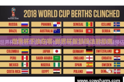 世界杯下注在哪-世界杯智慧投注的指南