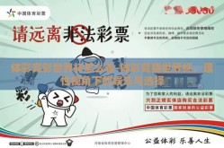 体彩竞彩世界杯怎么看-体彩竞猜世界杯，理性视角下的娱乐与选择
