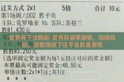 世界杯下注网站-世界杯赛事激情，知晓风险，理智选择下注平台的重要性