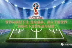 世界杯模拟下注-足坛盛宴，深入了解世界杯模拟下注的乐趣与风险